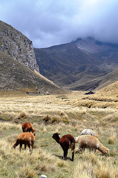 378_Ecuador_Volcan_Chimborazo_Tour.JPG
