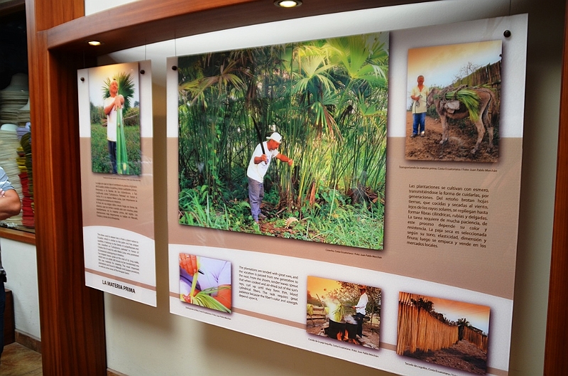 450_Ecuador_Cuenca_Panama_Hat_Factory.JPG