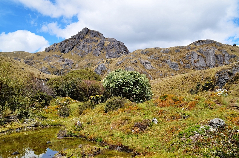 500_Ecuador_Parque_Nacional_Cajas.JPG