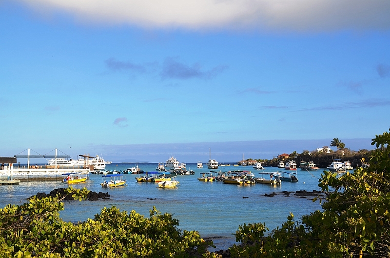 718_Ecuador_Galapagos_Santa_Cruz_Puerto_Ayora.JPG