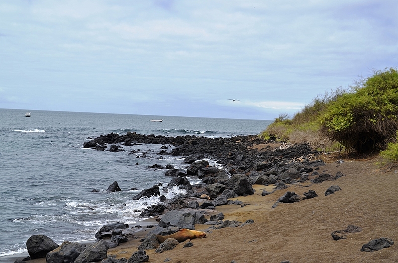 760_Ecuador_Galapagos_Island_Floreana.JPG