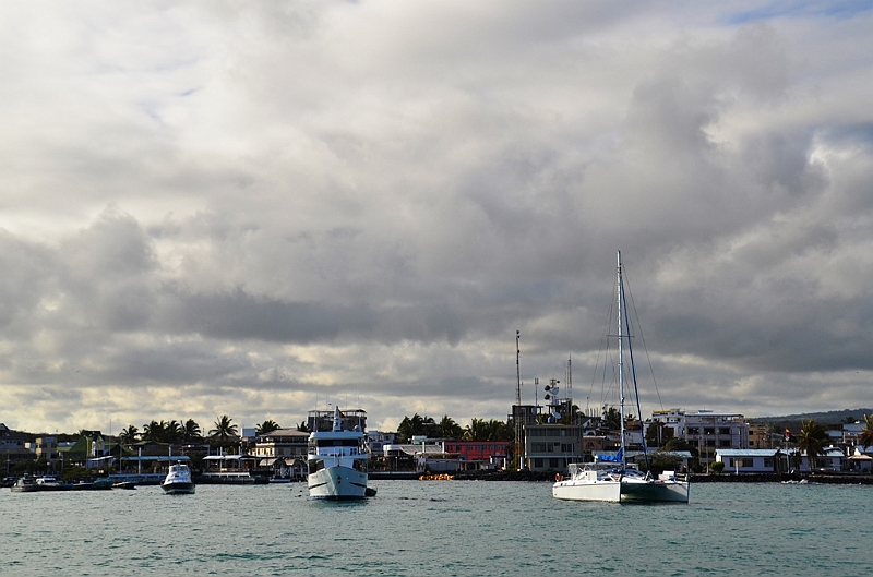 798_Ecuador_Galapagos_Santa_Cruz_Puerto_Ayora.JPG