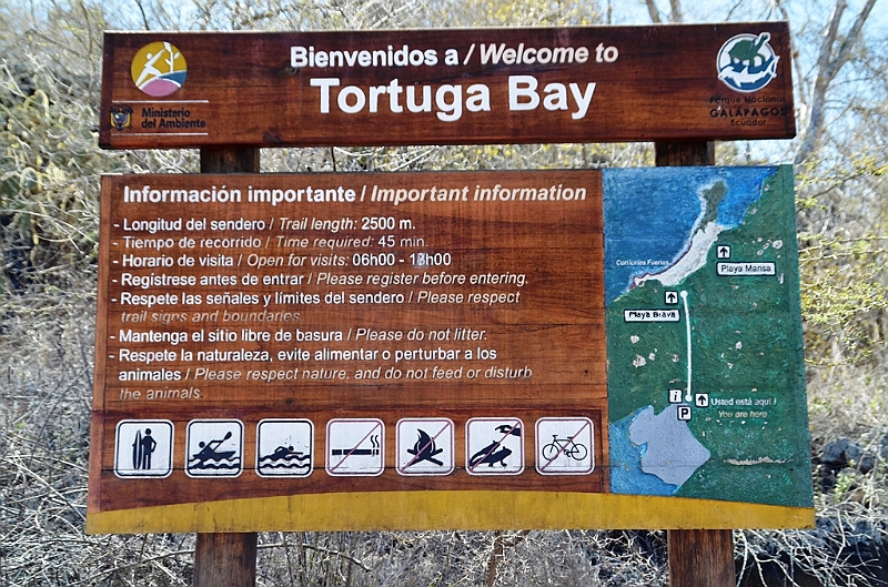 842_Ecuador_Galapagos_Santa_Cruz_Tortuga_Bay.JPG