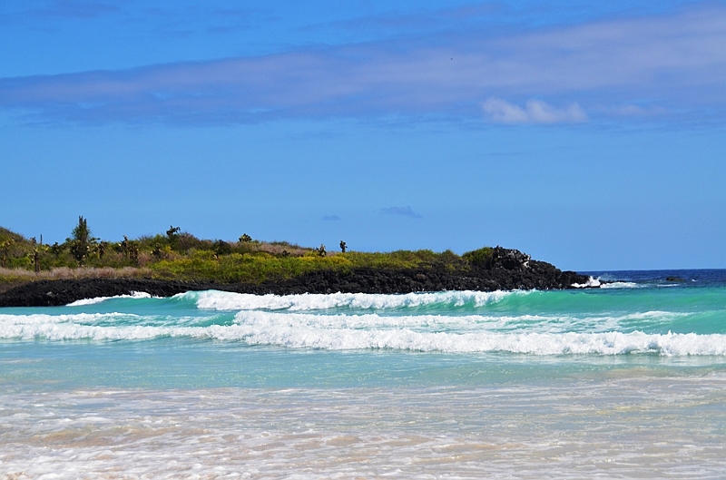 847_Ecuador_Galapagos_Santa_Cruz_Tortuga_Bay.JPG