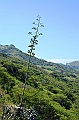 598_Ecuador_Vilcabamba