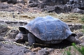 647_Ecuador_Galapagos_Charles_Darwin_Research_Station