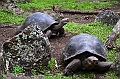744_Ecuador_Galapagos_Island_Floreana
