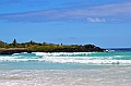 847_Ecuador_Galapagos_Santa_Cruz_Tortuga_Bay
