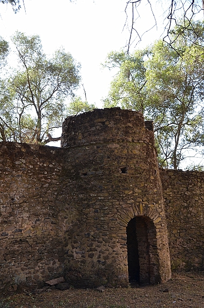 103_Ethiopia_North_Gondar_Debre_Berhan_Selassie_Church.JPG