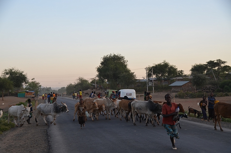 563_Ethiopia_South_normal_Street.JPG