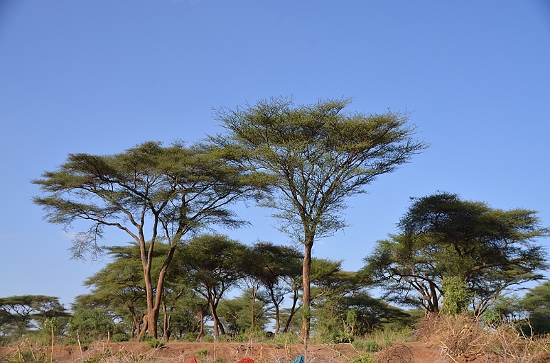 699_Ethiopia_South_Turmi.JPG