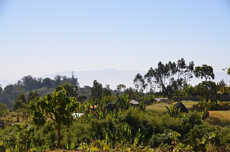 852_Ethiopia_South_Dorze_Village.JPG