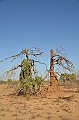 710_Ethiopia_South
