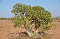 714_Ethiopia_South