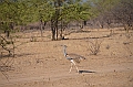 715_Ethiopia_South