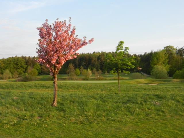 Golfclub_Herrnhof_24_April_2011_Photo009.JPG