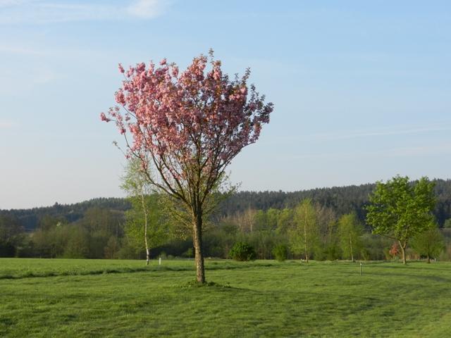 Golfclub_Herrnhof_24_April_2011_Photo029.JPG