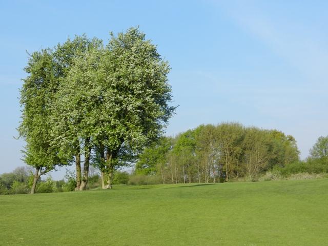 Golfclub_Herrnhof_24_April_2011_Photo043.JPG