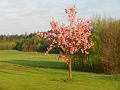 Golfclub_Herrnhof_24_April_2011_Photo018