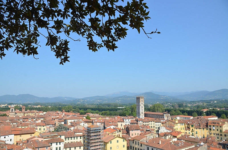 072_Italien_Toskana_Lucca_Torre_Guinigi.JPG