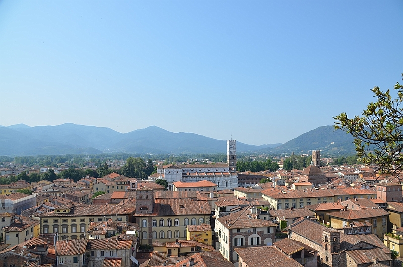 074_Italien_Toskana_Lucca_Torre_Guinigi.JPG