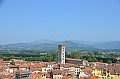 076_Italien_Toskana_Lucca_Torre_Guinigi