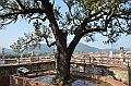 077_Italien_Toskana_Lucca_Torre_Guinigi