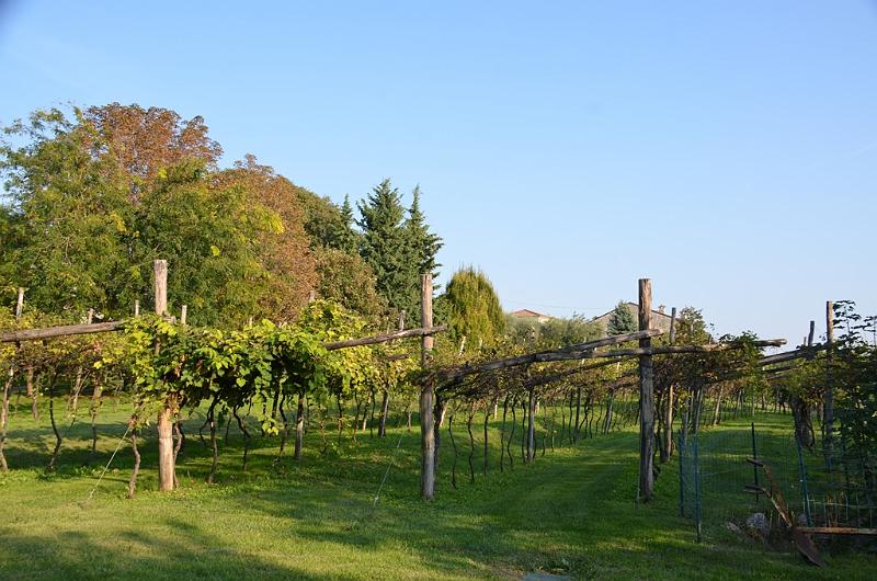 010_Italien_Gardasee_Parc_Hotel_Germano.JPG