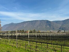 005_Italien_Suedtirol_Schernag