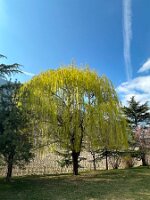 022_Italien_Suedtirol_Voellan