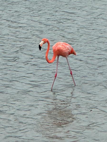 136_Curacao_Serulargu_NP.JPG