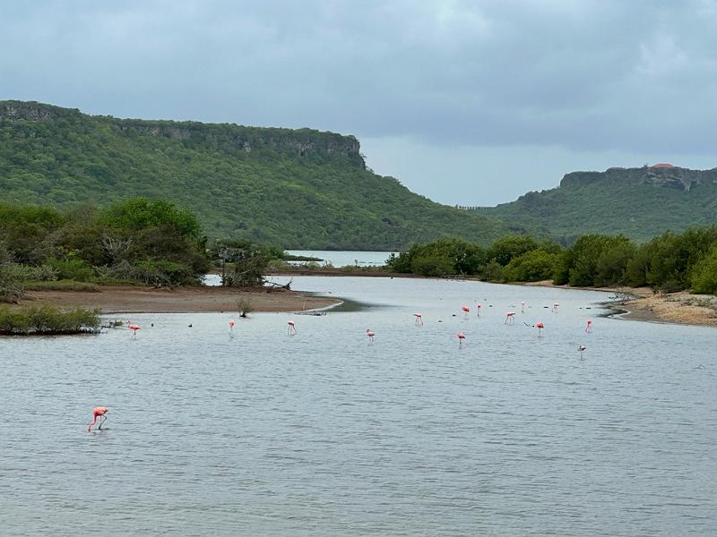 137_Curacao_Serulargu_NP.JPG