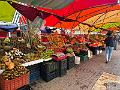 045_Curacao_Willemstad