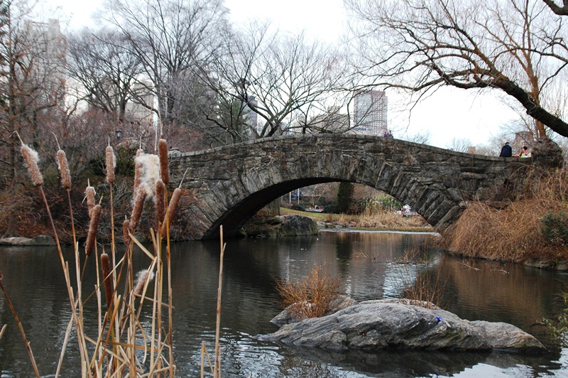087_New_York_Central_Park.JPG