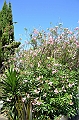 107_New_Zealand_Auckland_Devenport_Mt_Victoria