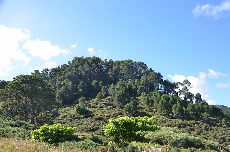 015_New_Zealand_Coromandel_Peninsula.JPG