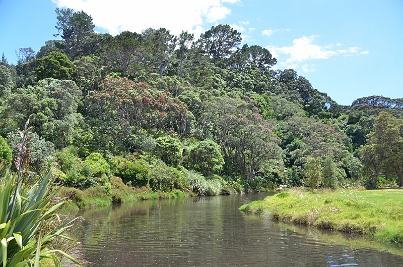 060_New_Zealand_Coromandel_Peninsula.JPG