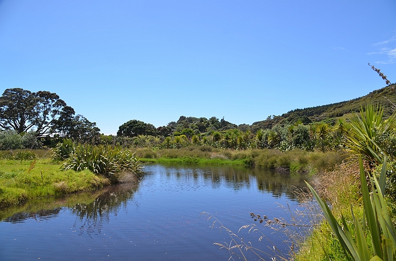 061_New_Zealand_Coromandel_Peninsula.JPG