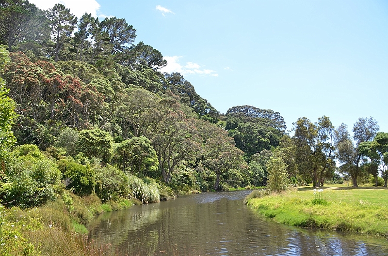 062_New_Zealand_Coromandel_Peninsula.JPG