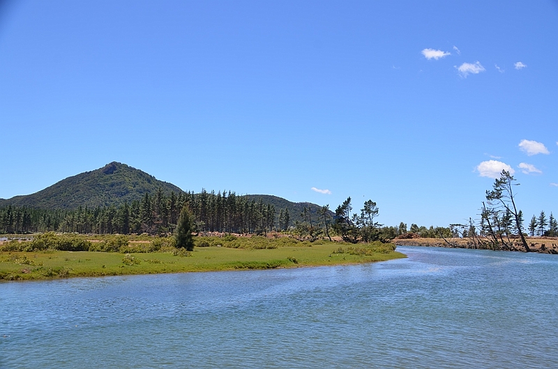 124_New_Zealand_Coromandel_Peninsula.JPG