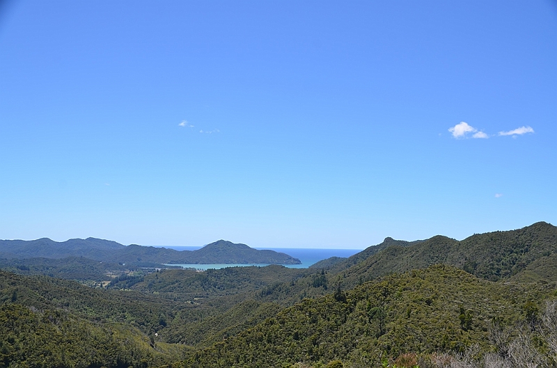 126_New_Zealand_Coromandel_Peninsula.JPG