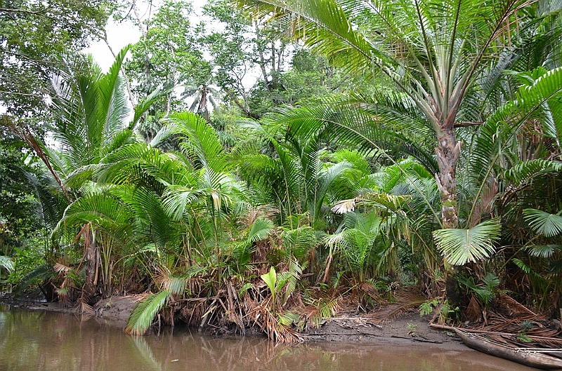 091_Papua_New_Guinea_Tufi.JPG