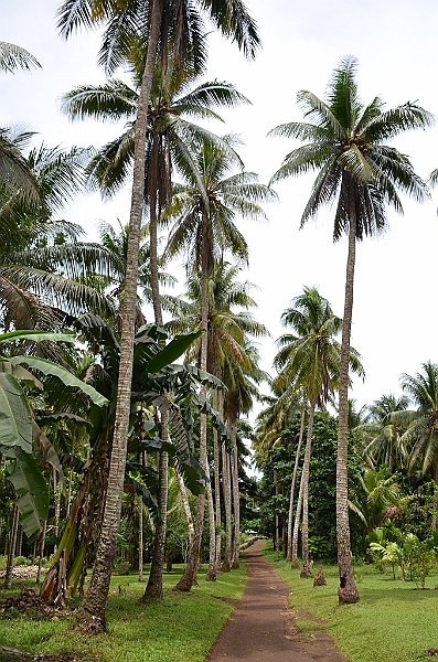 192_Papua_New_Guinea_Kitava_Island.JPG
