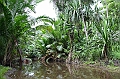 108_Papua_New_Guinea_Tufi