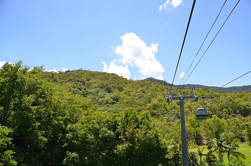 036_Australia_Queensland_Skyrail_Rainforest_Cableway.JPG