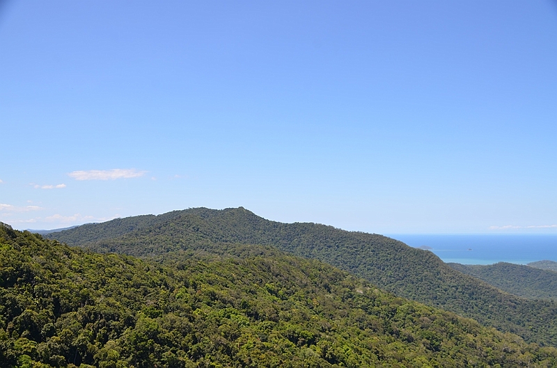 043_Australia_Queensland_Skyrail_Rainforest_Cableway.JPG
