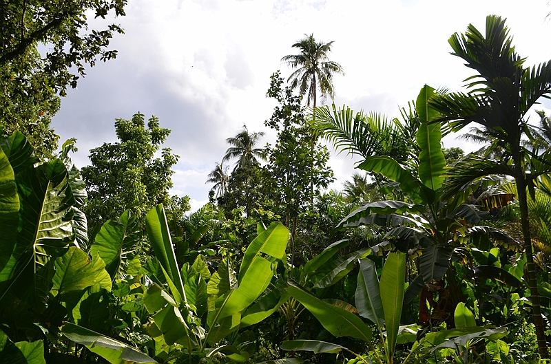061_Solomon_Islands_Roderick_Bay.JPG