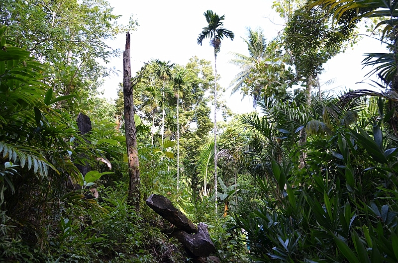 072_Solomon_Islands_Roderick_Bay.JPG