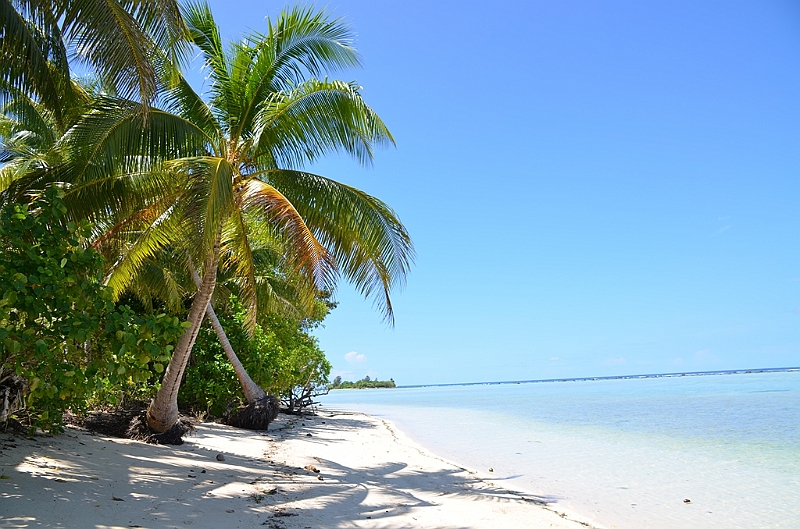 142_Solomon_Islands_Santa_Ana.JPG
