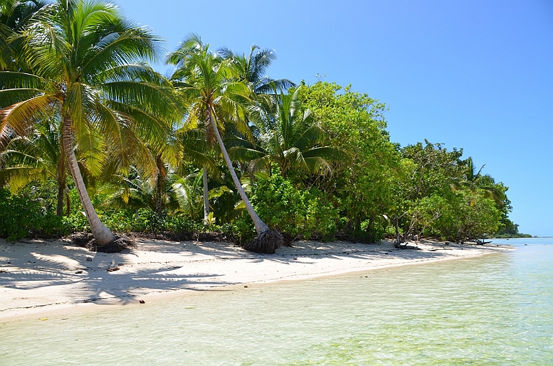 144_Solomon_Islands_Santa_Ana.JPG